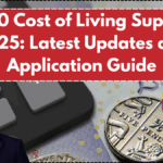 £650 Cost of Living Support 2025: Latest Updates and Application Guide